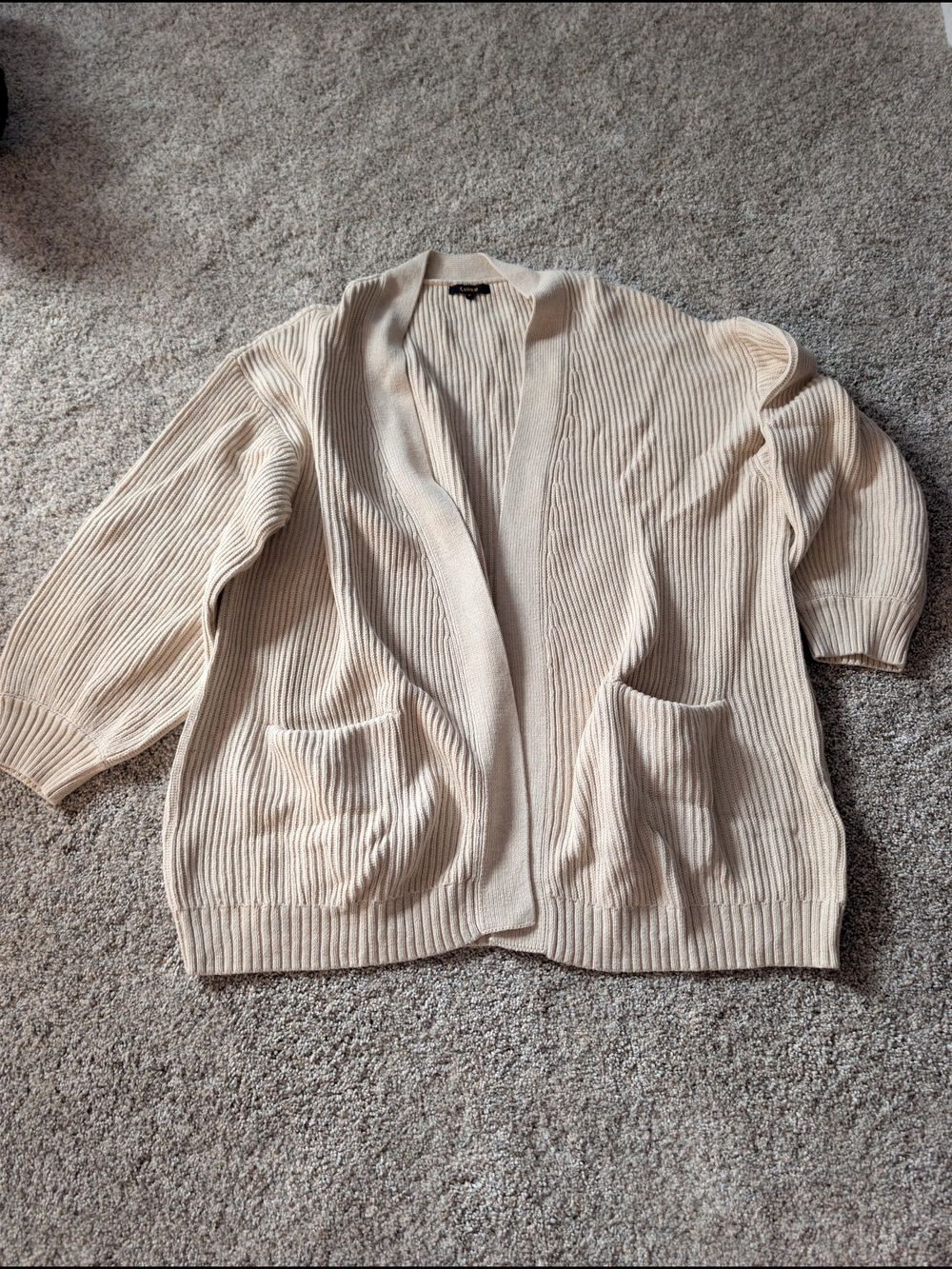 Quince NWOT Organic Cotton Oversized Cardigan Speckled Beige 1X